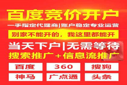 百度竞价推广案例：行业领军者成长故事